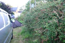 IMG_2572.jpg