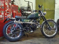 Mutt 900xNx900.pagespeed.ic.TAZsUMYMuG.jpg