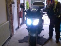 Honda lights resize.jpg