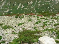 DSC02250.jpg