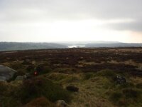 DSC02464.jpg