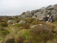DSC02467.jpg