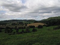 IMG_3349.jpg