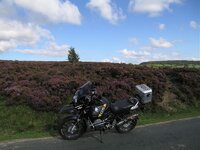 IMG_3351.jpg