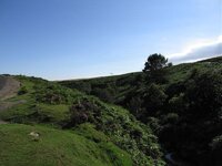 IMG_3358.jpg