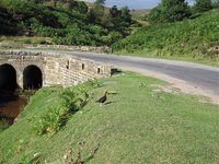 IMG_3356.jpg
