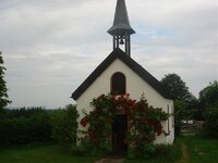 DSC02283.jpg