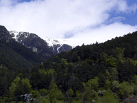 jac7.gif