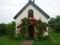 DSC02284.jpg