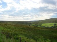 DSC02320.jpg