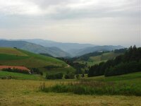 DSC02281.jpg