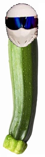 stigascourgette.jpg
