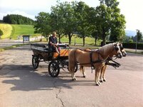 French Alps  July 2013 081.jpg