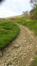 DSC_0291.JPG
