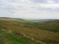 DSC02327.jpg