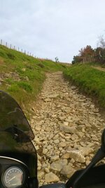 DSC_0292.JPG
