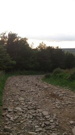 DSC_0294.JPG