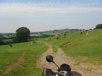 DSC02330.jpg