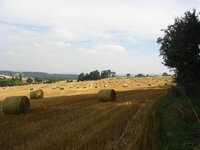 DSC02334.jpg