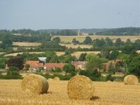 DSC02336.jpg