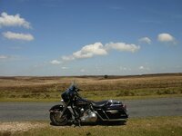 Leicester 2013 074.jpg