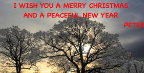 CHRISTMAS CARD 2013.UKGSER.JPG