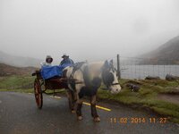 DSCN5564gif.jpg