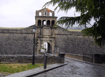 jaca2.gif