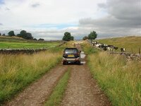 DSC02287.jpg