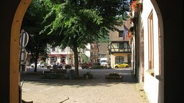 IMG_6337.jpg