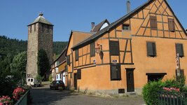 IMG_6341.jpg
