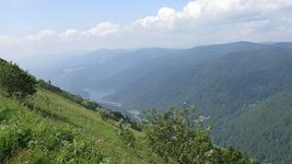 IMG_5424.jpg
