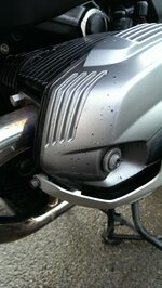 IMAG0328.jpg
