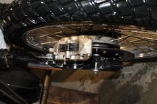 IMG_5475.jpg