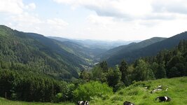 IMG_6345.jpg