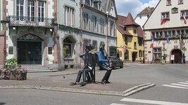 IMG_6369.jpg