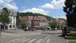 IMG_6380.jpg