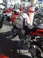 IMG_1931s.jpg