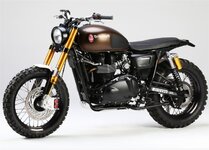 ANDYASUS - Triumph Rumbler.jpg