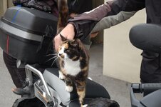 DSC_2428.jpg