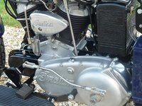mikes indian2.jpg