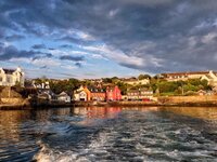 IMG_2110_zps976d1be2.jpg