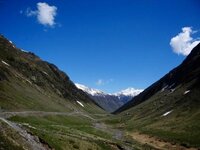 DSC05279.jpg