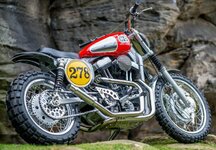 1200 Cross Sportster  4.jpg
