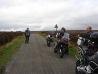 DSC02345.jpg