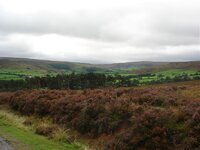 DSC02346.jpg