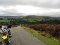 DSC02347.jpg