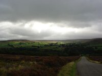 DSC02348.jpg