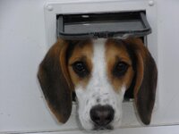 Chigley (22).jpg