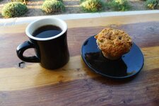 Coffee in Sebastapol.jpg
